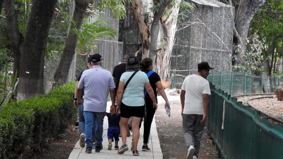 Zoológico de Morelia 1